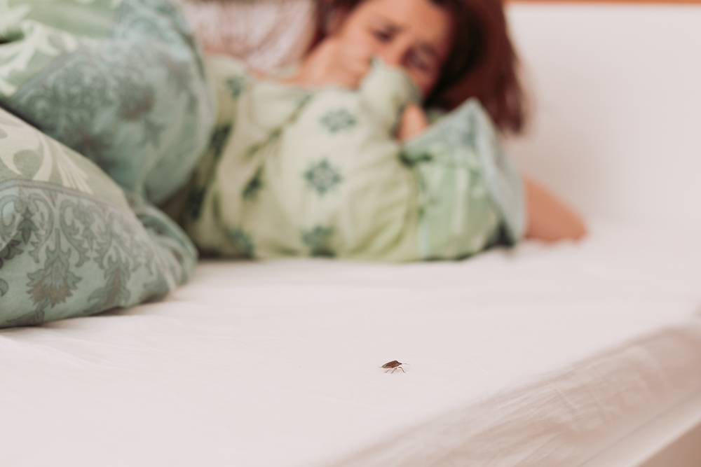 Femme terrifiée dans son lit par punaise de lit