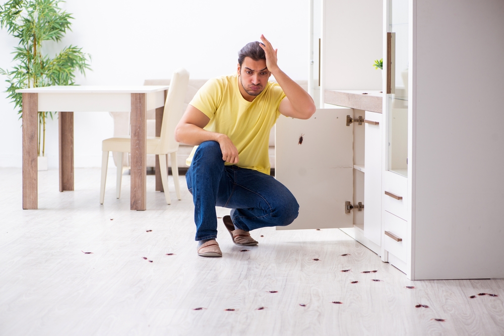 Jeune homme entouré de cafards