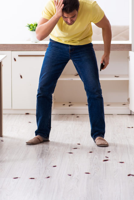 Jeune homme cafard à la maison